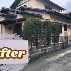 お庭の植木や雑草のお悩み解決！！見積無料ですのでお気軽に！！ - 福岡市