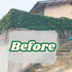 お庭の植木や雑草のお悩み解決！！見積無料ですのでお気軽に！！ - 剪定/造園