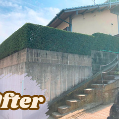 お庭の植木や雑草のお悩み解決！！見積無料ですのでお気軽に！！ − 福岡県