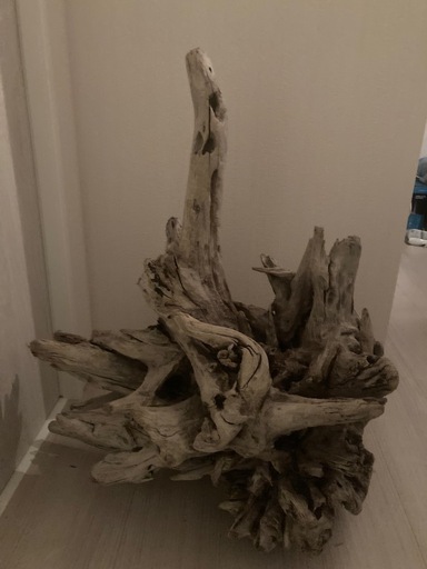 流木