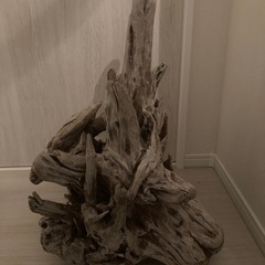 流木