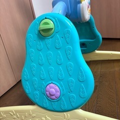 プーメリーの画像