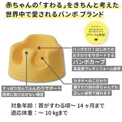 【受渡　仮確定】バンボ（黄色）の画像