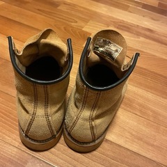 レッドウイングの画像