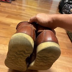 レッドウイングの画像