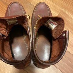レッドウイングの画像