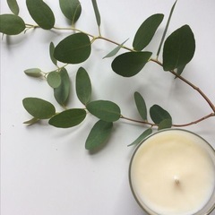 一緒にファスティングしませんか🌱？