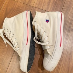 キャンパススニーカーの画像