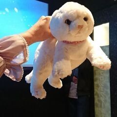 おけまる！名古屋カラオケサークル、１１/１０オフ会のお知らせ