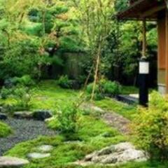 🉐除草 伐木作業🉐お見積り無料🆓お気軽に、お問い合わせ下さい🙇有...