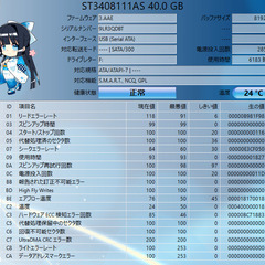 🔳HDD 3.5ｲﾝﾁ  🔳Seagate 40GB ST3408111ASの画像