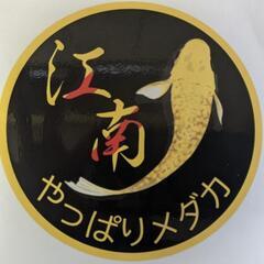 無人販売所　やっぱりメダカ　１１月３日　