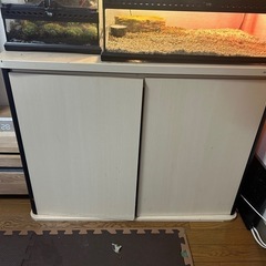 11/4本日可能！グラステラリウム6045の画像