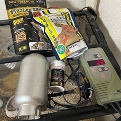 11/4本日可能！グラステラリウム6045の画像