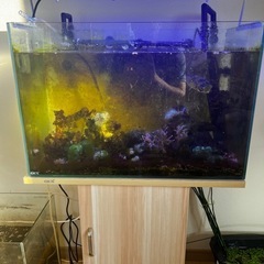 水族館 SUPER SALE【まとめ売り】
