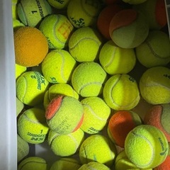 テニスボール　ボール　スポーツ