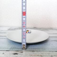 未使用ミッフィーのプレートの画像