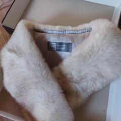 シルバーフォックス