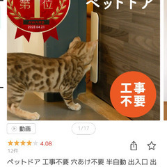 ペットドア