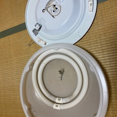 シーリングライト