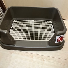 犬のトイレの画像