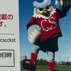　11/3コンサドーレ札幌対セレッソ大阪チケット1枚