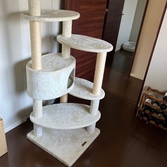 キャットタワー