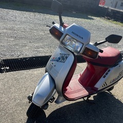 レトロ　リードss 実働車　　の画像