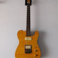 Telecaster Type Electric Guitar