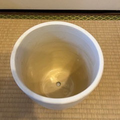 🉐値下げしました✨未使用✨植木鉢の画像