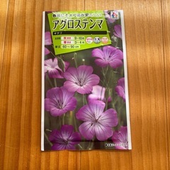 花の種　アグロステンマ
