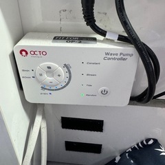 早い者勝ち、海水魚の全ての価格です。の画像