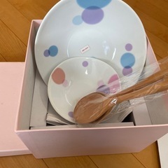 サラダ　プレート　皿　大皿　取り分け　小皿　５枚　
セット 