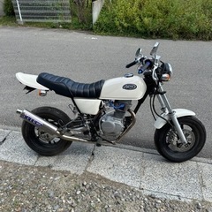 HONDAエイプ100  HC07
の画像