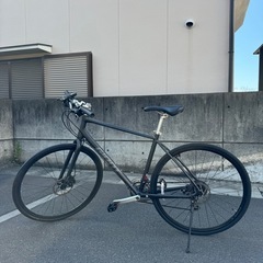 ジャイアント エスケープ  マットダークシルバーの画像