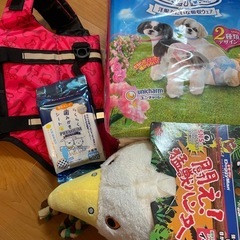 決まりました!