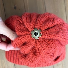 ニット帽　レディースの画像
