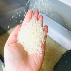 令和6年度米 新米  愛知の香り米　白米　　美味しい米　27キロ...