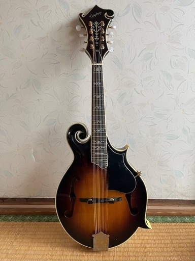 Epiphone MM-50 マンドリン 配達可能