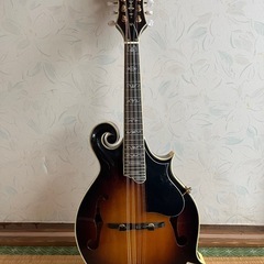 Epiphone MM-50 マンドリン 配達可能