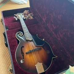 Epiphone MM-50 マンドリン 配達可能の画像