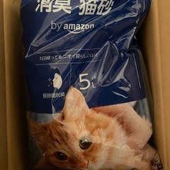 猫砂　5L*4袋