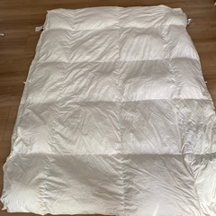 羽毛肌掛けふとん　シングルサイズ✖️2 ニトリ