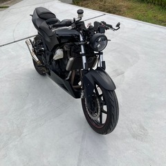 カワサキニンジャ250r ストリートファイター仕様の画像