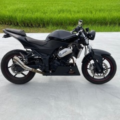カワサキニンジャ250r ストリートファイター仕様
