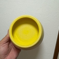 爬虫類シェルターLの画像