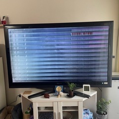 東芝 REGZA テレビ 