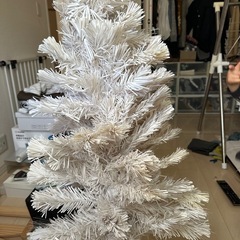 クリスマスツリーの画像