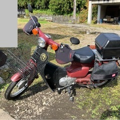 希少車　92年式スーパーカブ70DX お話し中