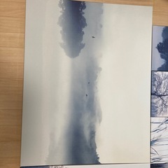 IKEA GRÖNBY グローンビー　アートパネル　9枚セットの画像